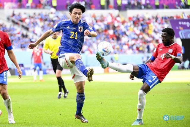 全新的职业 全新的职业