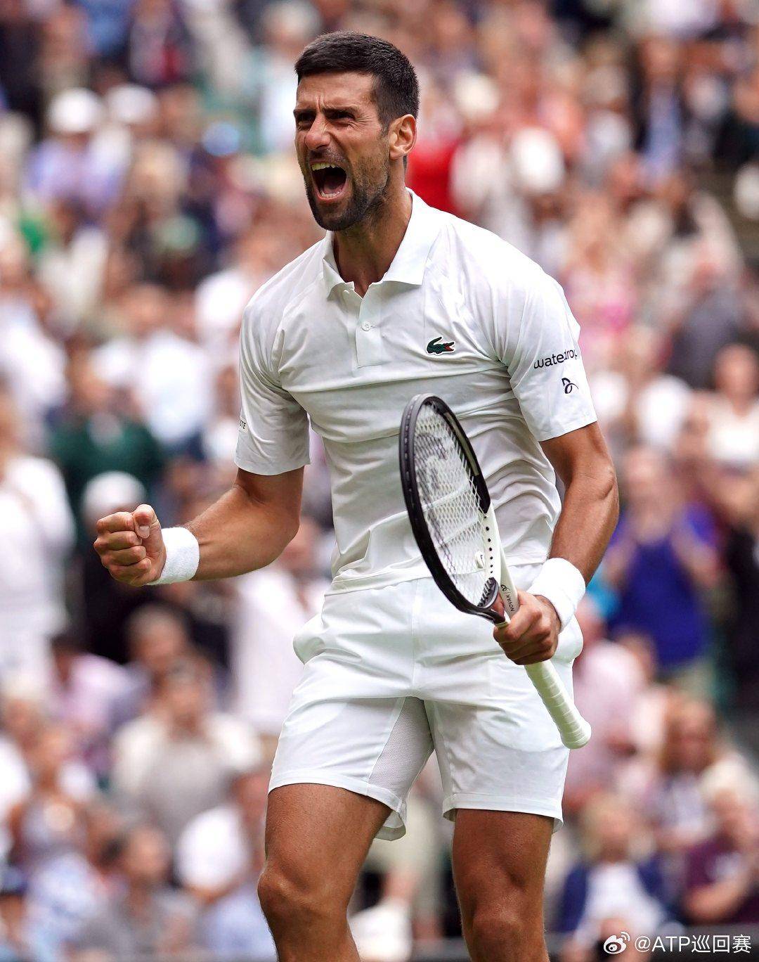 的正常进行 的正常进行