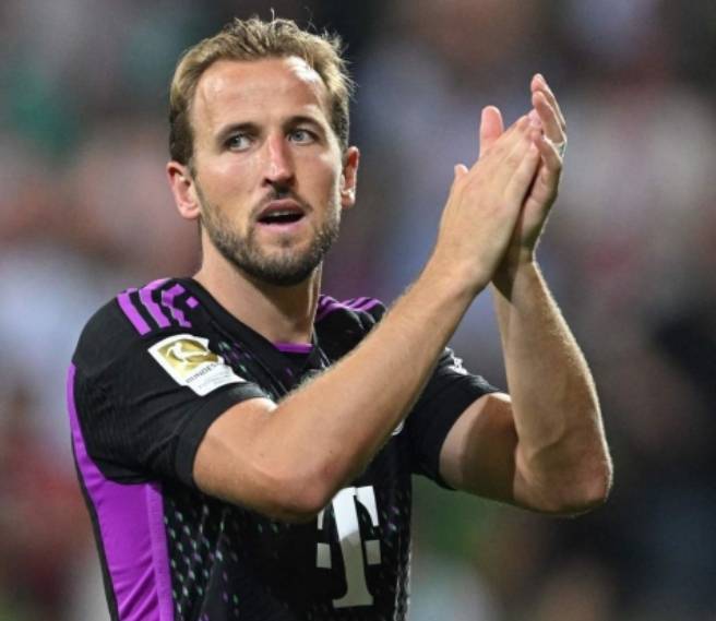 花顺有望 花顺有望